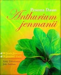 Image of Pesona Daun Anthurium Jenmanii